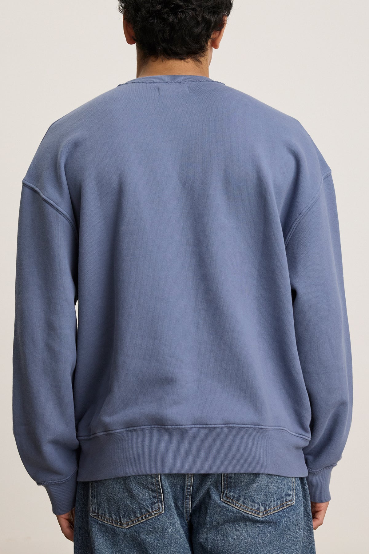   A person is shown from the back wearing the blue, relaxed fit FORREST SWEATSHIRT by Velvet by Graham & Spencer, paired with jeans against a plain background. 