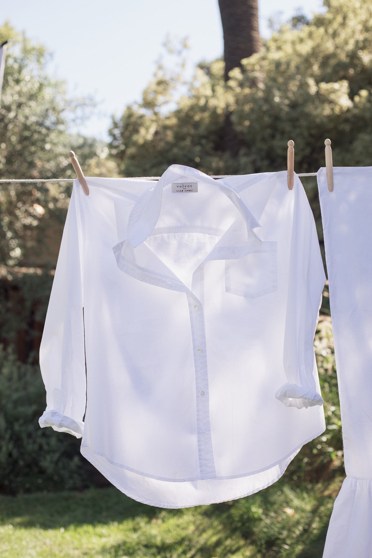   The GRACE SHIRT by Velvet by Graham & Spencer, an oversized cotton poplin button-up, sways gently on a clothesline, soaking up the sun's warmth in a vibrant garden. 